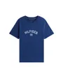 Tee Shirt Homme Hilfiger Flock