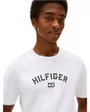 Tee shirt Homme Hilfiger Flock