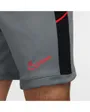 Short Homme M NK DF ACD25 SHORT K BR Gris