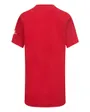 Tee-shirt Garçon NKB FUTURA EVERGREEN Rouge