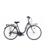 Vélo urbain Femme LIBERTY 28 1V Anthracite Métal