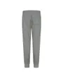 Pantalon de survetement Enfant plus agé JDB MJ BASELINE FLC PANT Gris
