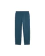 Pantalon de survetement Homme FPF PUMATECH SWEATPANTS Bleu