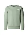 Sweat Enfant TEEN SIMPLE DOME CREW Vert