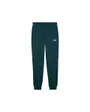Pantalon Homme ESS 2 Color No 1 Logo