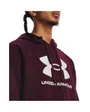 Sweat à capuche Homme UA RIVAL FLEECE LOGO HD Bordeaux