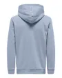 ONSCERES HOODIE SWEAT NOOS