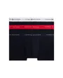 Lot de 3 boxers Homme 3P WB TRUNK Multicolore