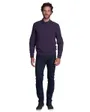 Pull col rond Homme TRANQUILLE Violet