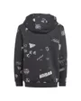 Sweat zip à capuche Enfant J BLUV Q3 FZHD Gris