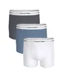 Slip Trunk Homme Relaxed Fit Trunk 3P