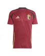 Maillot de football Homme RBFA H JSY M Bordeaux