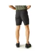 Short de randonnée Homme LEESVILLE SHRT II Noir