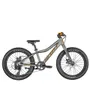 VTT Enfant ROXTER 20 Argent