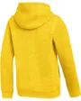 Sweat À Capuche Enfant Nike Park26