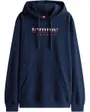 Sweat à Capuche Homme Tjm Reg Dna Hoodie Ext