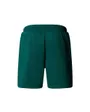 Short Homme M BOX NSE REGULAR SHORT Vert