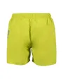 Short de bain Homme FUNDAMENTALS ARENA LOGO BOXER R Vert