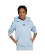 Sweat à Capuche Homme B FL HD