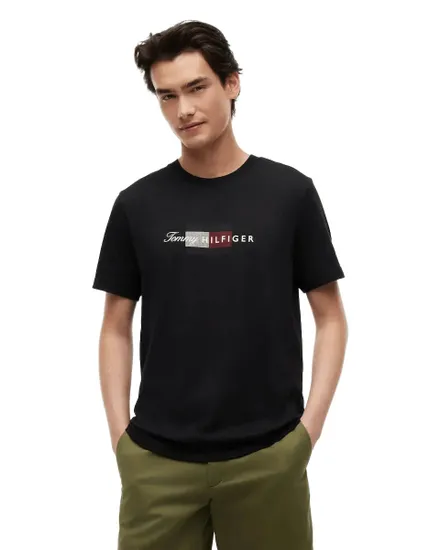 T-Shirt Homme Script Flag Regular