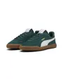 Chaussures PUMA CLUB KAYZER SD Vert