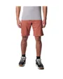 Short Homme SILVER RIDGE UTILITY CARGO SHORT Rouge