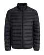 Doudoune Homme JJEBRADLEY Light Puffer Collar Noos