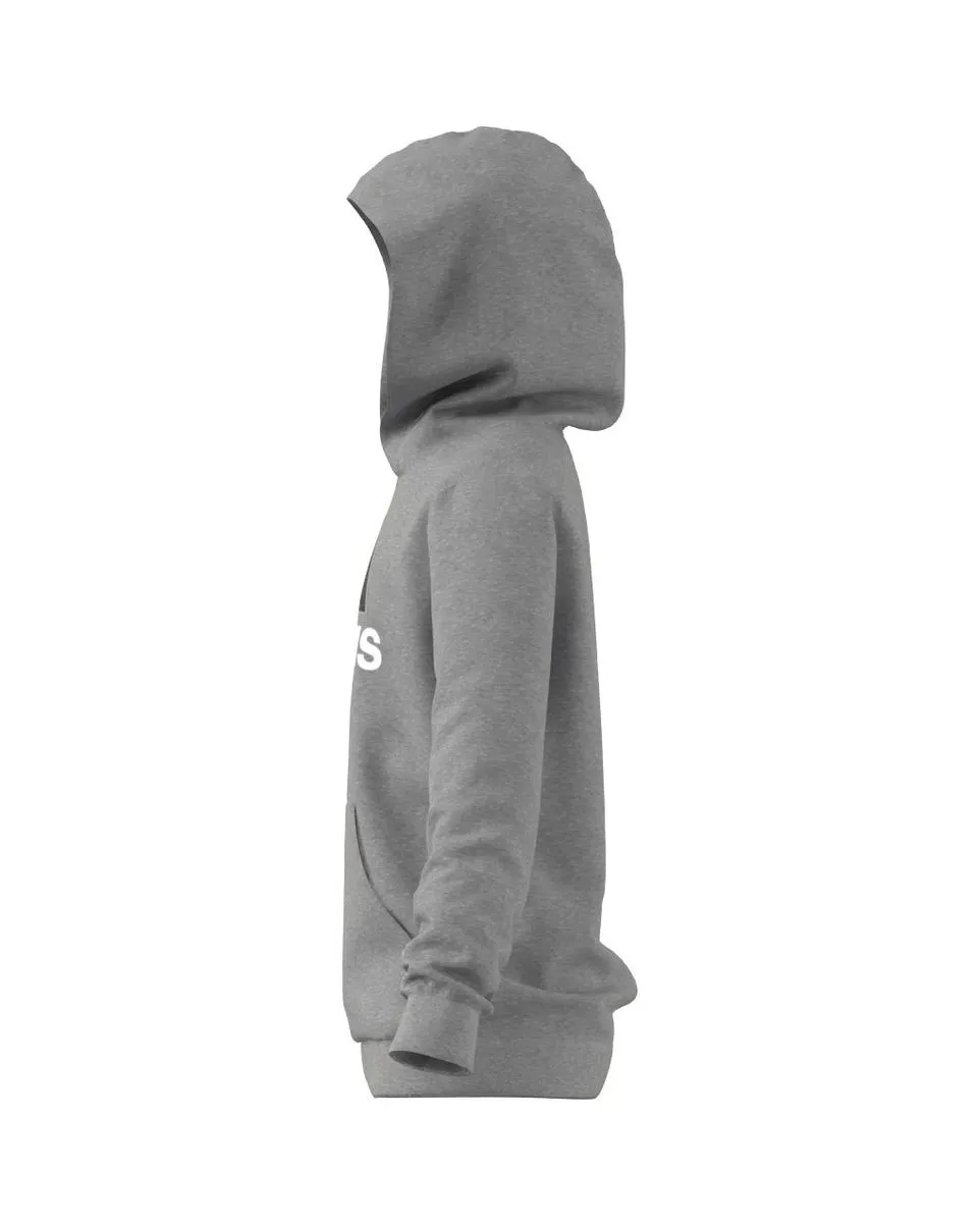 Sweat à Capuche Garçons - la Collection Enfant Sweat à Capuche Garçons - la Collection Enfant
