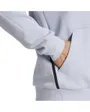 Sweat à capuche Homme D4T HOODIE Gris