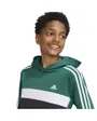 Sweat à capuche Enfant J 3S TIB FL HD Vert