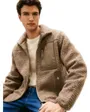 Veste polaire Homme TEDDY FLEECE ZIP THROUGH Taupe