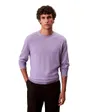Pull Homme Classic Merino Crew