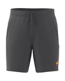 Short Homme TR-ES+ BL SHORT Gris