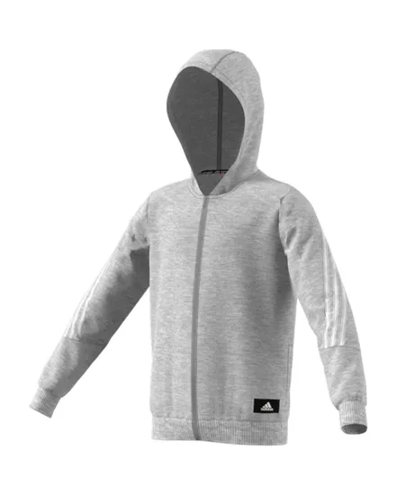 Veste à capuche manches longues Enfant B FI 3S FZ Gris