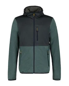 Polaire Homme BARNWELL Vert