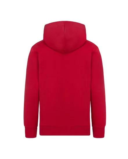 Sweat à capuche Garçon MJ ESSENTIALS PO HOODIE Rouge