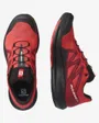 Chaussure de trail Homme SHOES PULSAR TRAIL Rouge