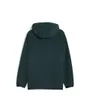 Sweat à capuche Homme PUMATECH HALF ZIP HO Vert