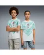 Maillot de football Enfant FPF AWAY JERSEY REPLICA JR Vert