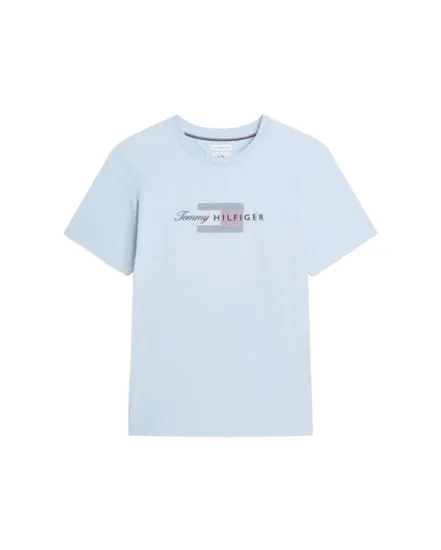 T-Shirt Homme Script Flag Regular