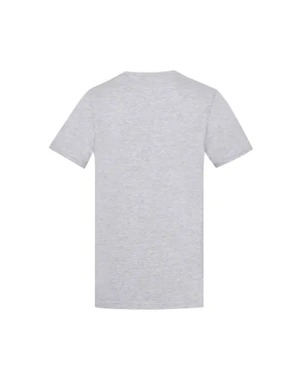 T-shirt Homme SB C NET TEE LL Gris