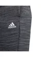 Pantalon de sport femme W E TPE PT Gris