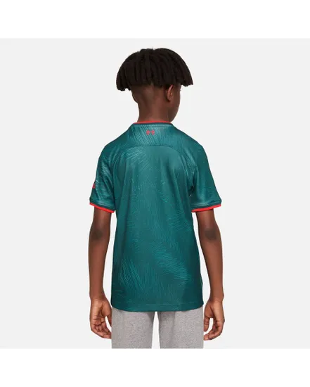 Maillot de football Enfant plus âgé LFC Y NK DF STAD JSY SS 3R Vert