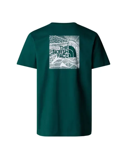 T-shirt Homme M SS BOX NSE CELEBRATION TEE Vert