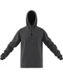 Sweat a capuche manches longues Homme M CE HD Gris