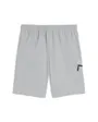Short Homme PUMATECH WOVEN SHORT Gris
