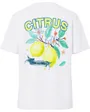 T-Shirt Femme Brianna Imprimé Floral