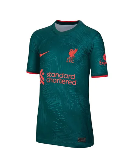 Maillot de football Enfant plus âgé LFC Y NK DF STAD JSY SS 3R Vert