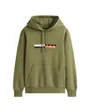 Sweat à capuche Homme TH COLOUR BLOCK GRAPHIC HOODIE Vert