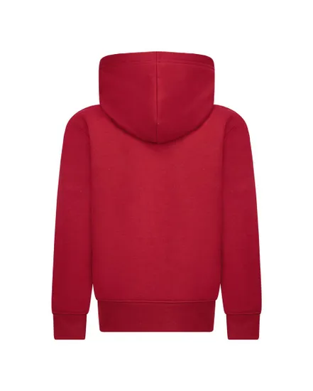 Sweatshirt à capuche Enfant plus âgé JDB MJ BROOKLYN FLC PO